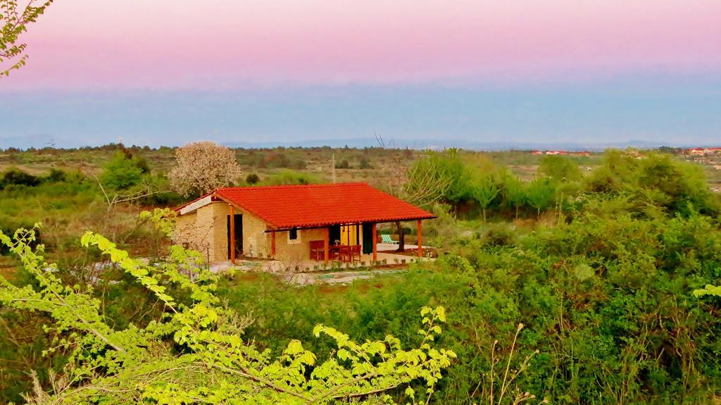 Romantic Villa Cherry Zadar Bagian luar foto